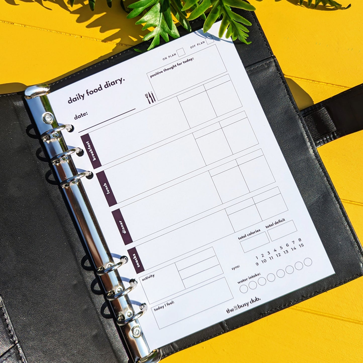 Daily Food Diary 'Blended Binder' Inserts