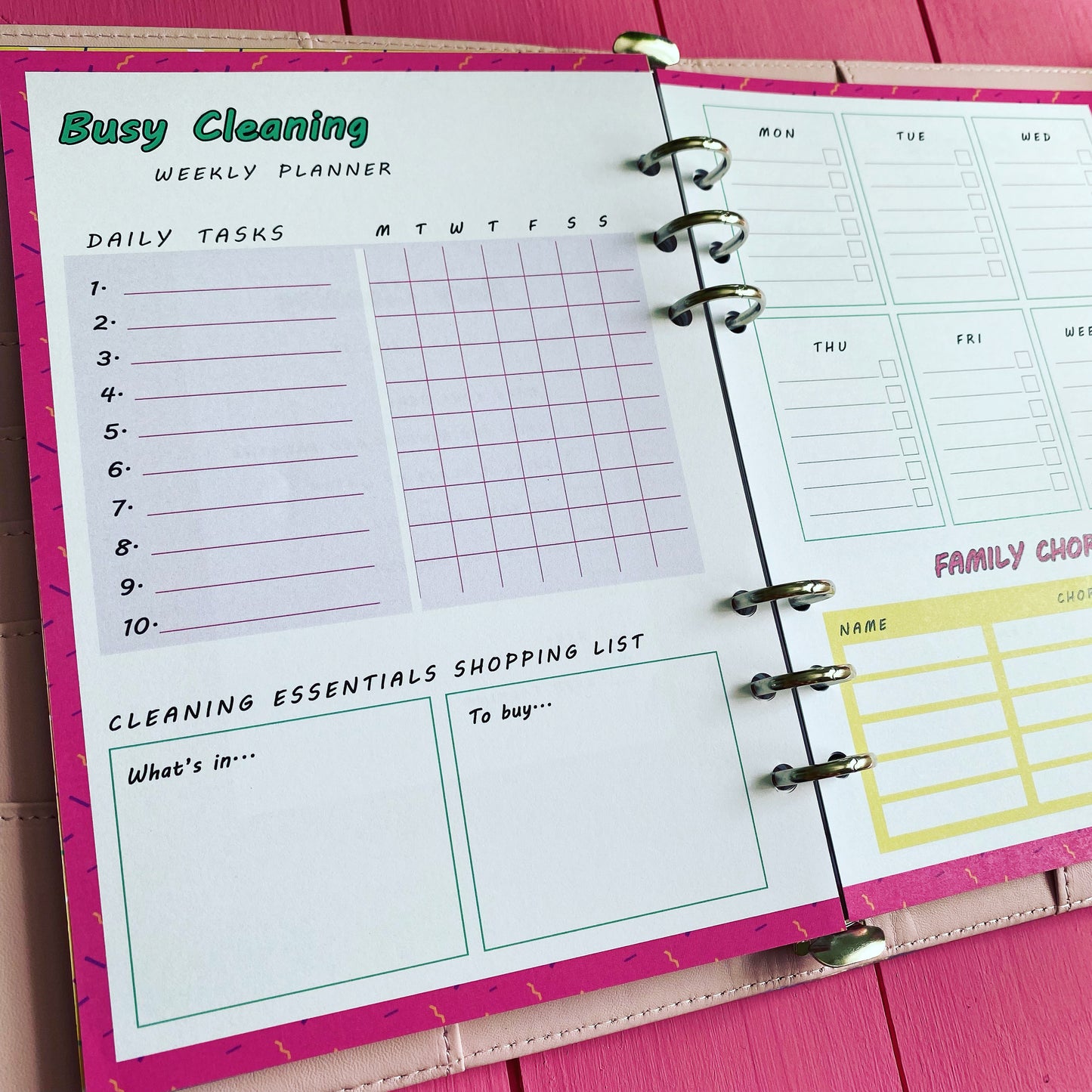 Busy Cleaning Binder 12 week inserts.