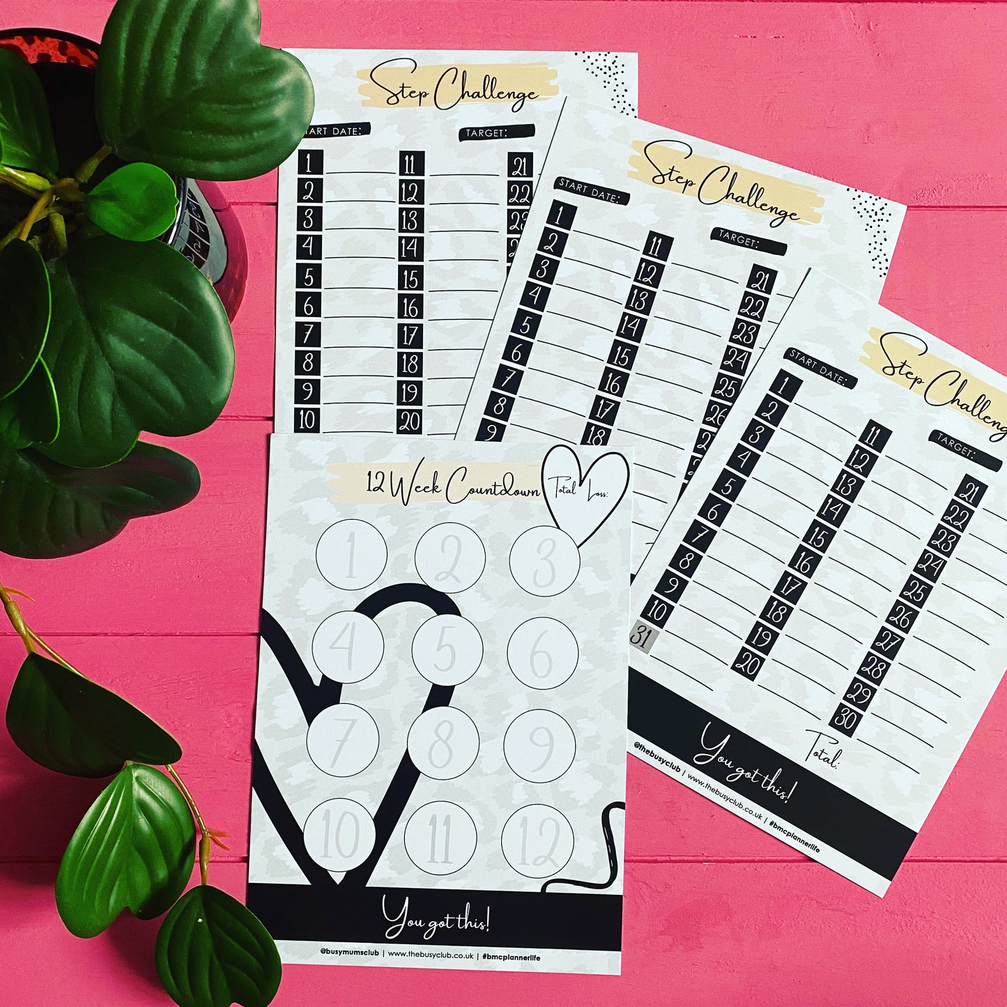 Step Challenge & 12-Week Countdown