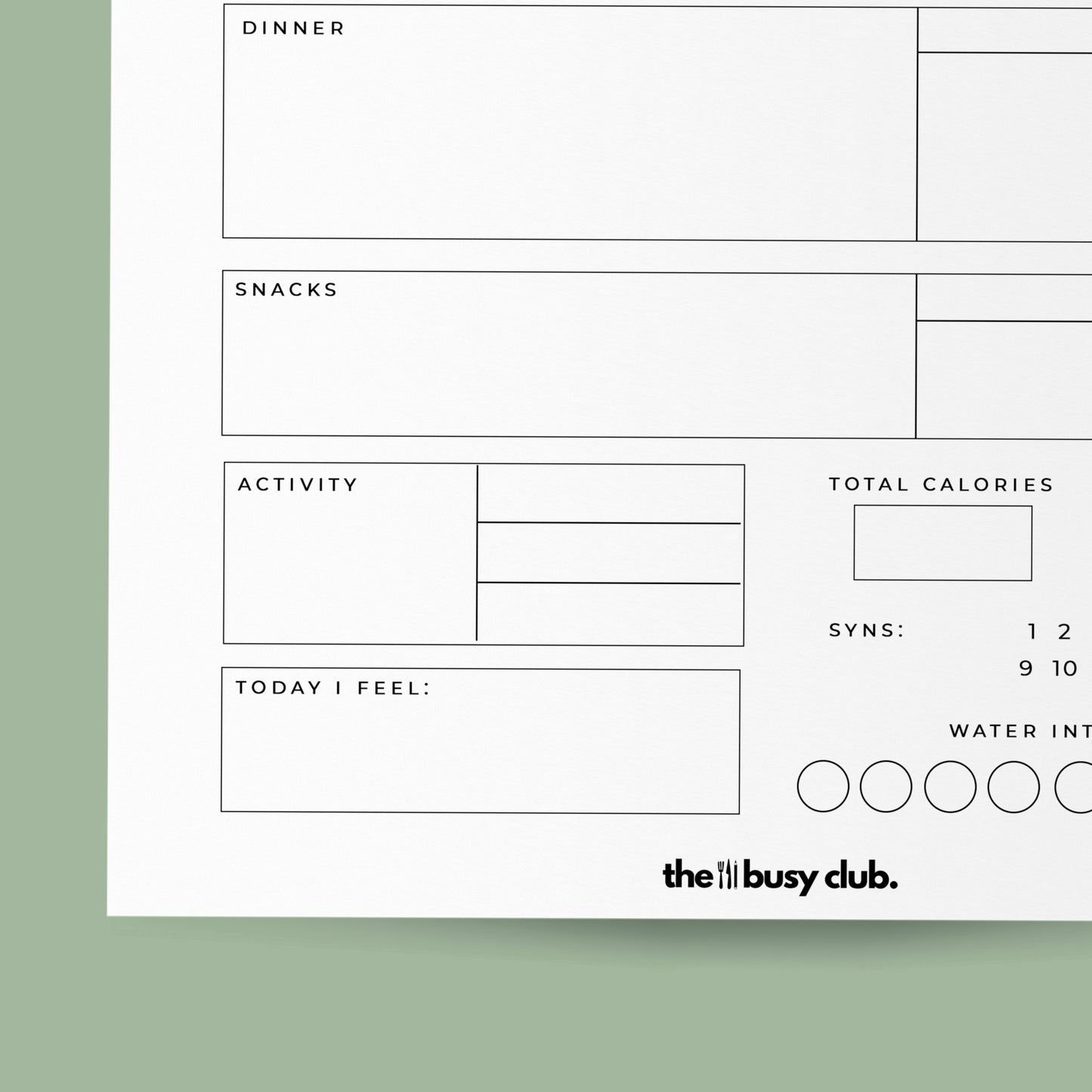 Daily Food Diary | Printable Digital Download