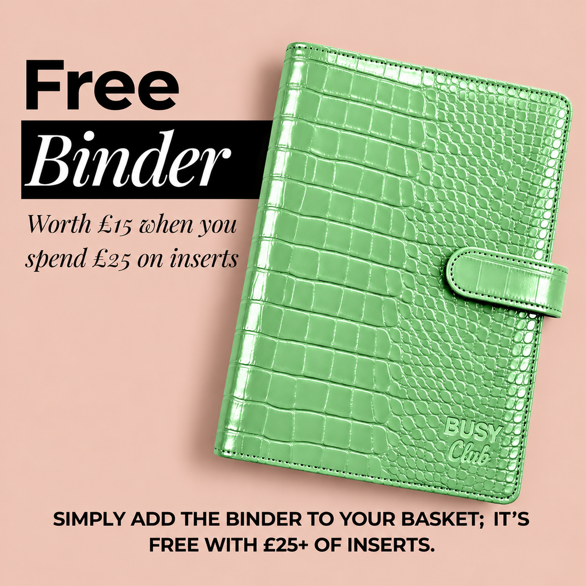 Embossed Croc A5 Ring Binder - Mint Green