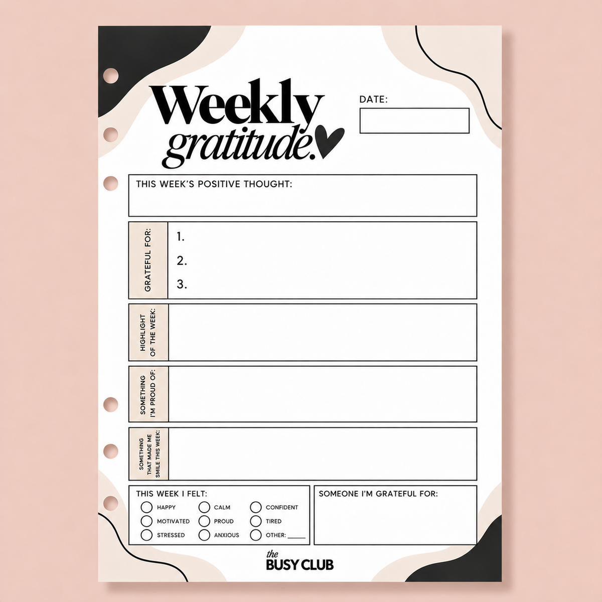 Weekly Gratitude A5 Ring Binder Inserts